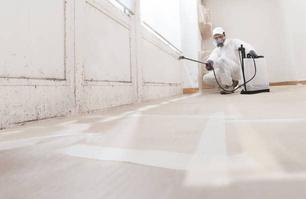 24/7 Emergency Mold Remediation experts in Georgetown, TX