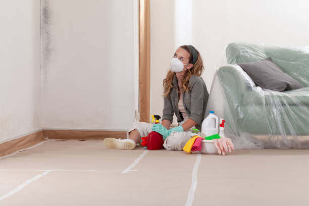 Reliable Mold Remediation contractor in Georgetown, TX by 24 Hour Mold Removal